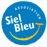 logo SPORT INITIATIVE ET LOISIR BLEU